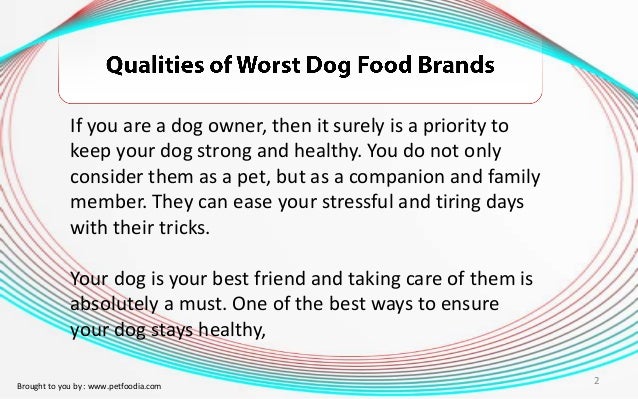 qualities of a dog qualities of a dog